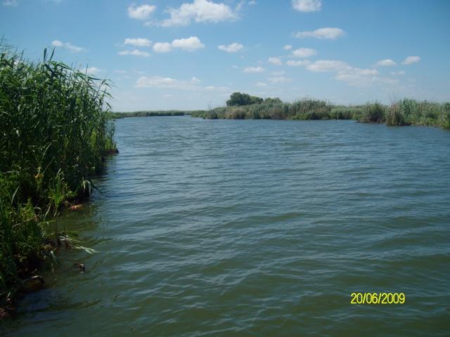 delta rosu 2009 - sany6761.JPG